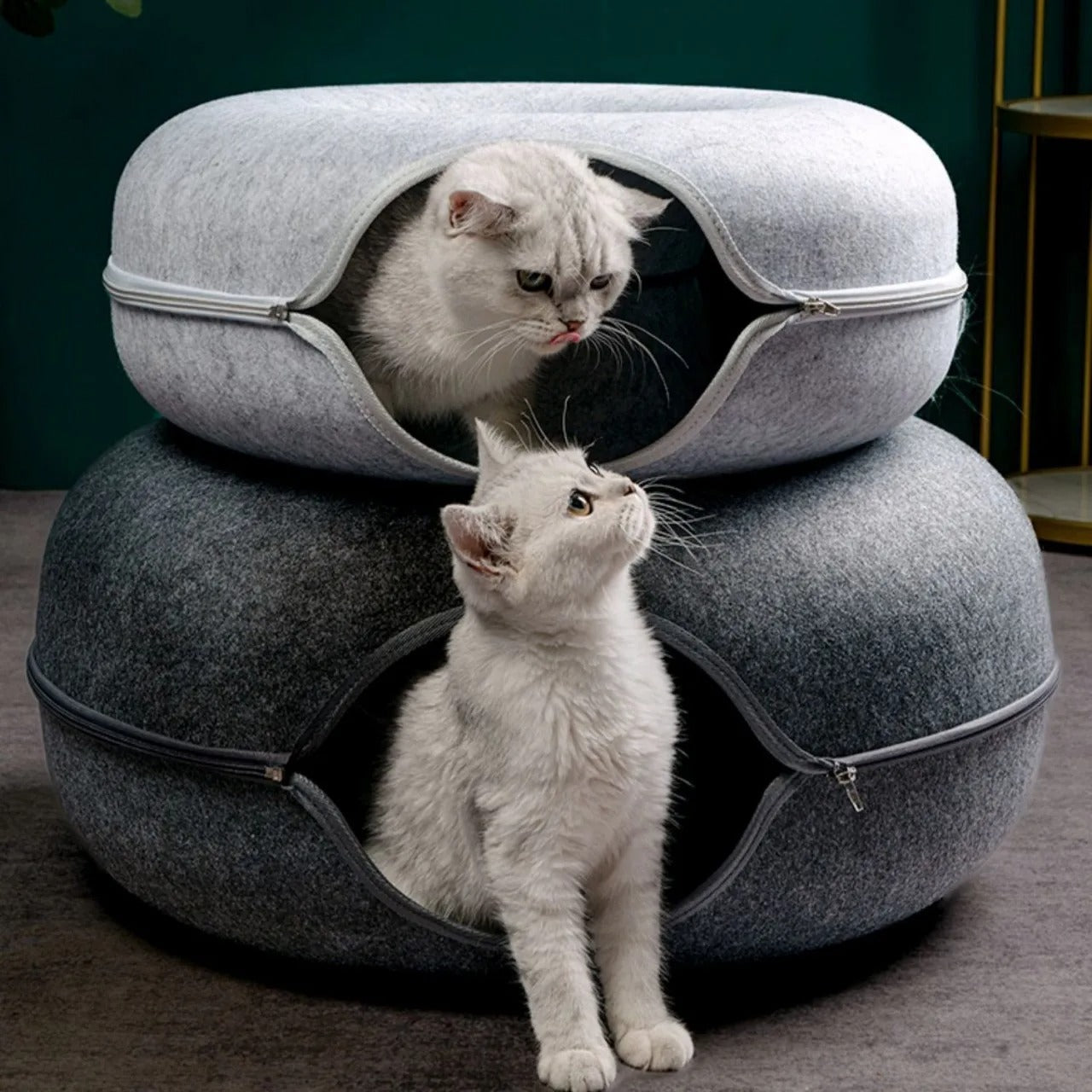 Cat Cave